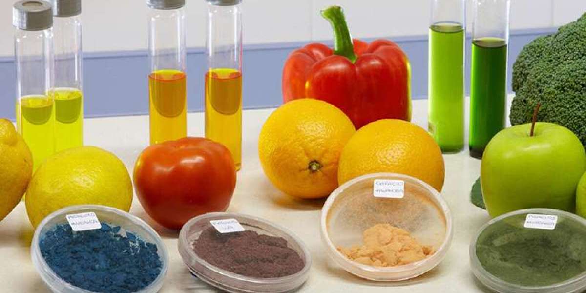 Organic Acid Products Market Analytical Overview, Business Opportunities 2031