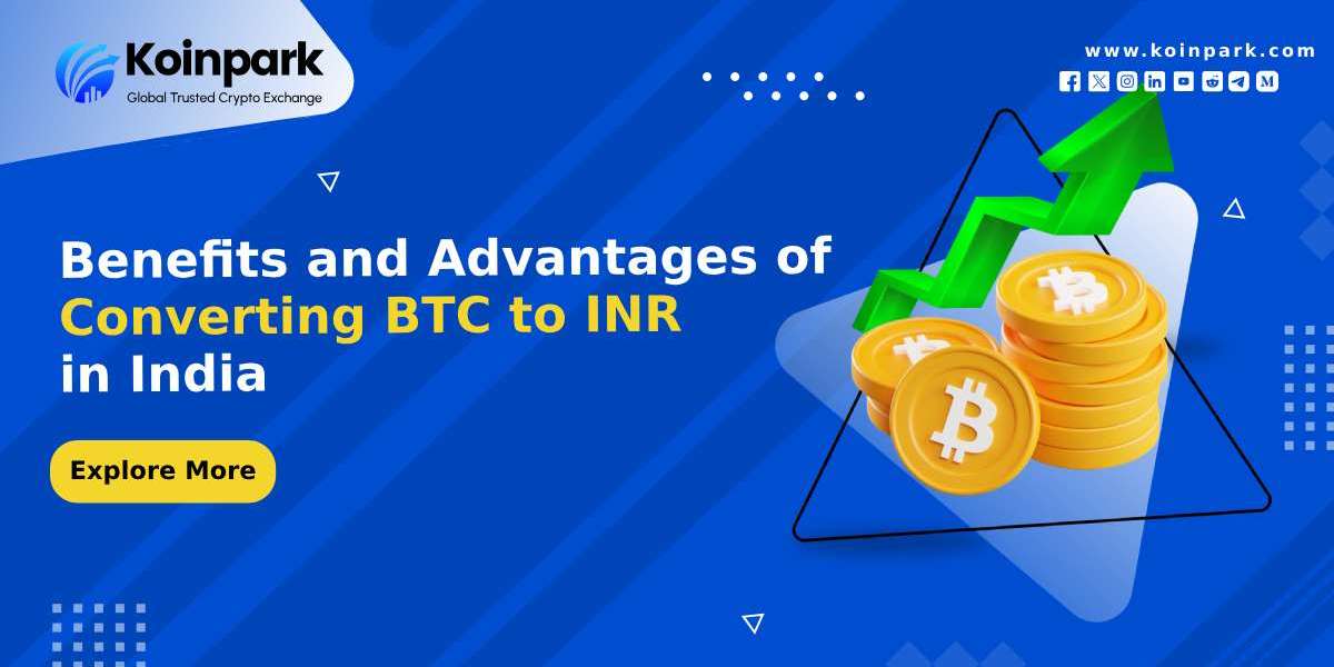 Benefits and Advantages of Converting BTC to INR in India