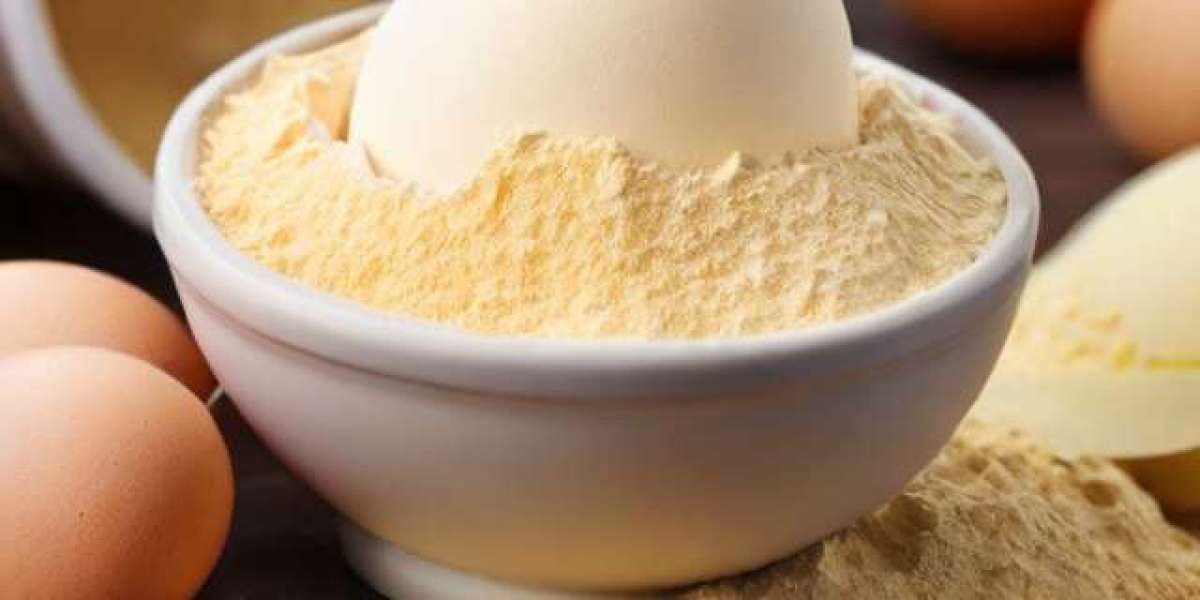 Egg Powder Manufacturing Project Report 2024: Business Plan, Plant Setup and Details