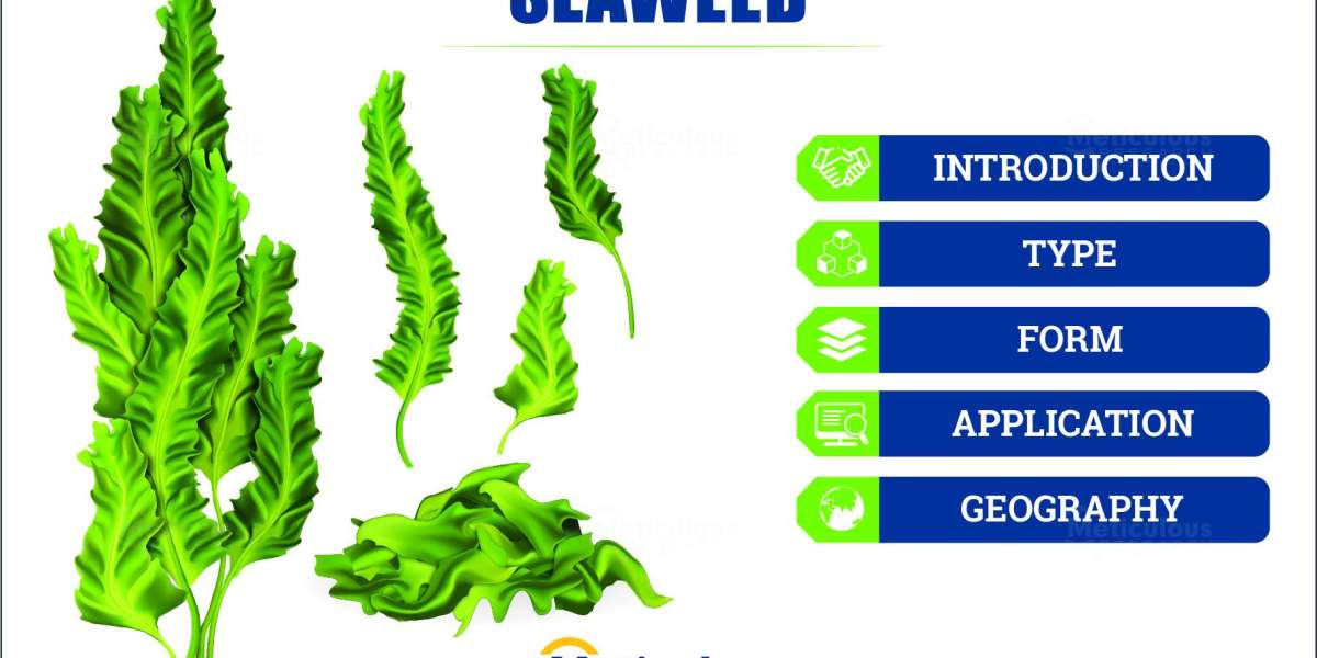 Seaweed Market to be Worth $23.2 Billion by 2028