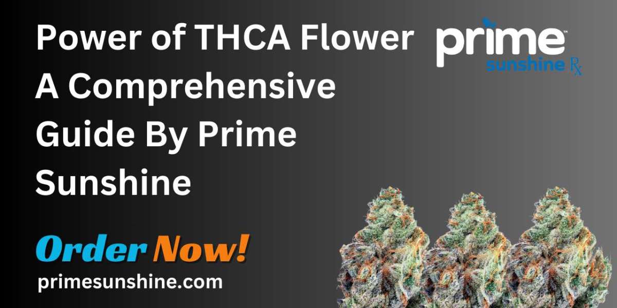 Power of THCA Flower A Comprehensive Guide By Prime Sunshine