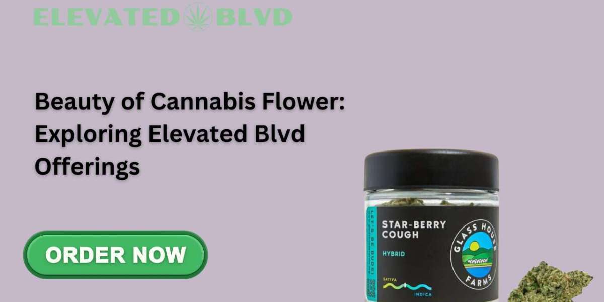 Beauty of Cannabis Flower: Exploring Elevated Blvd Offerings