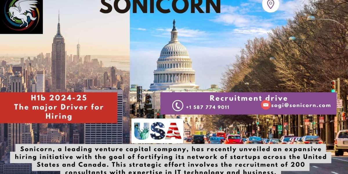 Sonicorn Bolsters its H1b Workforce for 2024-25