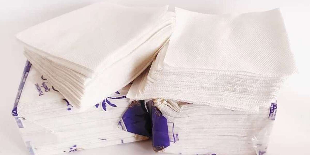 Africa Tissue Paper Market Share Analysis, Trends, Report 2023-2028