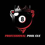 Professional Pool Cue