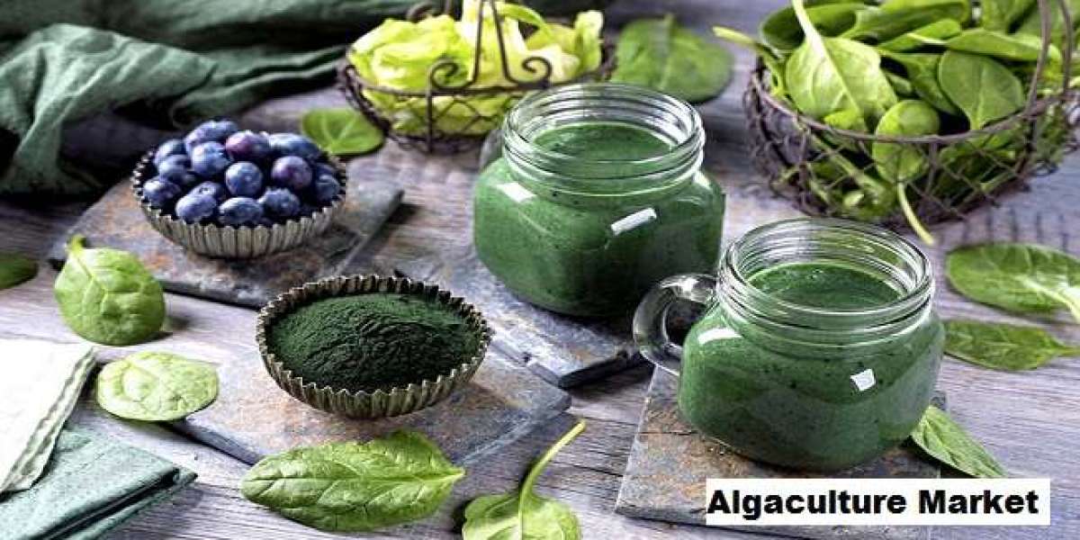 Algaculture Market to Grow with a CAGR of 6.23% through 2028