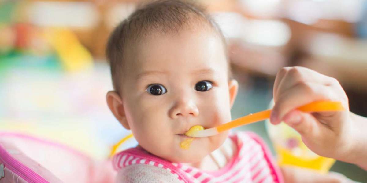 China Baby Food Market Share & Trends Analysis Report Forecast & Opportunities, 2023- 2032