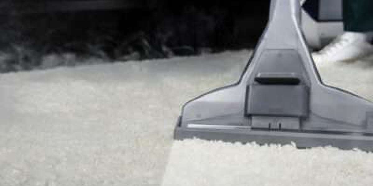 Expert Tips for Carpet Cleaning and Maintenance: Keeping Your Carpets Pristine in Washington DC
