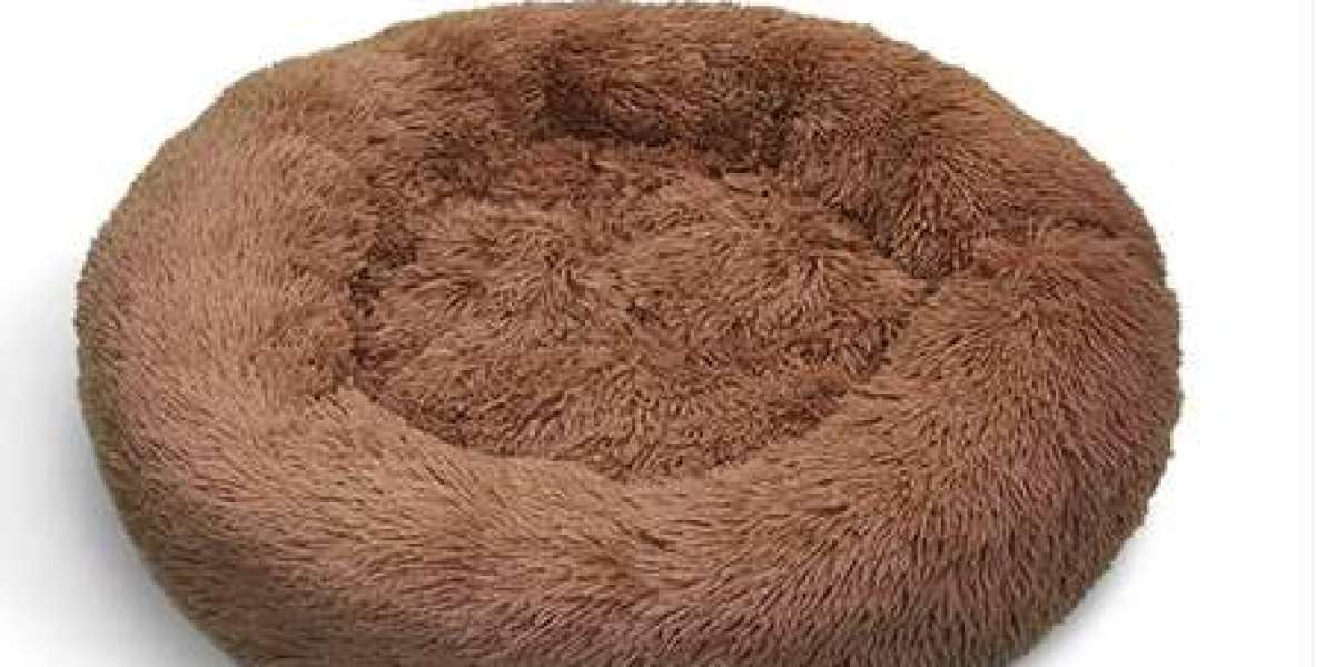 Soothing Solutions: Top 5 Calming Dog Beds Designed for Australian Climates