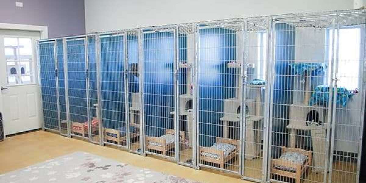 The Feline Sanctuary: Providing Security, Comfort, and Love in Your Cat's Boarding Stay