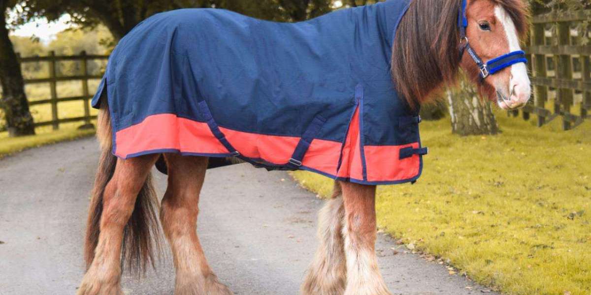 Ultimate Guide to Choosing the Best 1200D Turnout Rug for Your Horse