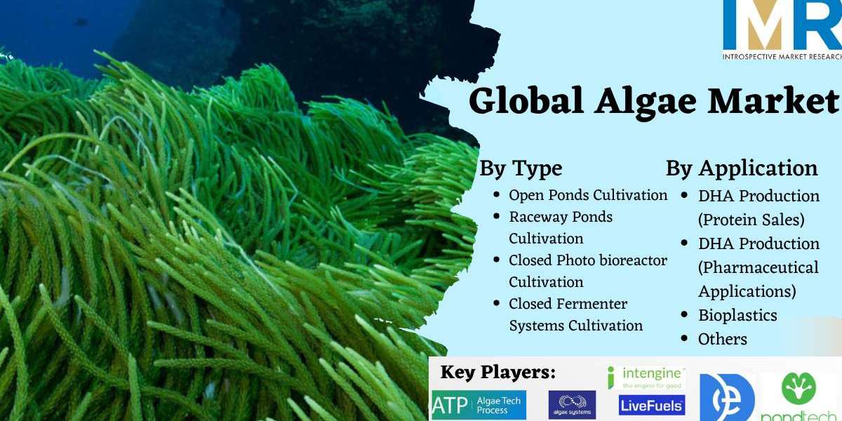 Global Algae Market Worldwide Opportunities, Driving Forces, Future Potential 2030