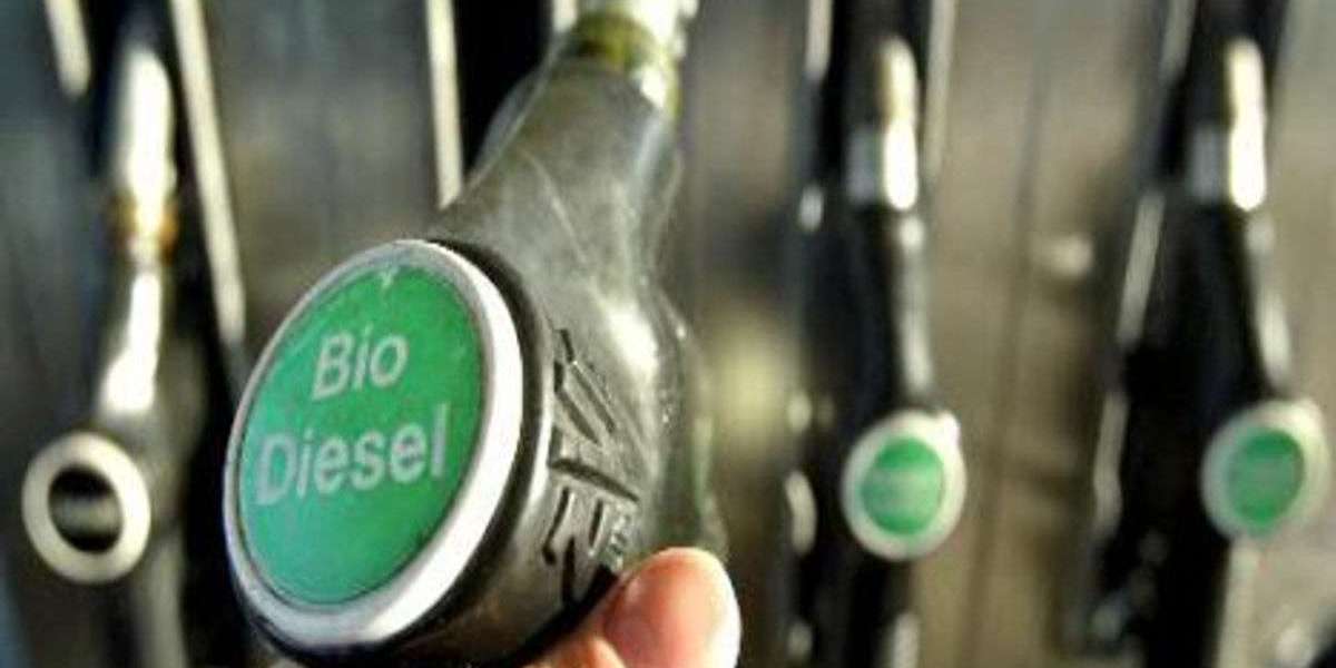 Latin America Biodiesel Market Share, Forecast and Industry 2024-2032