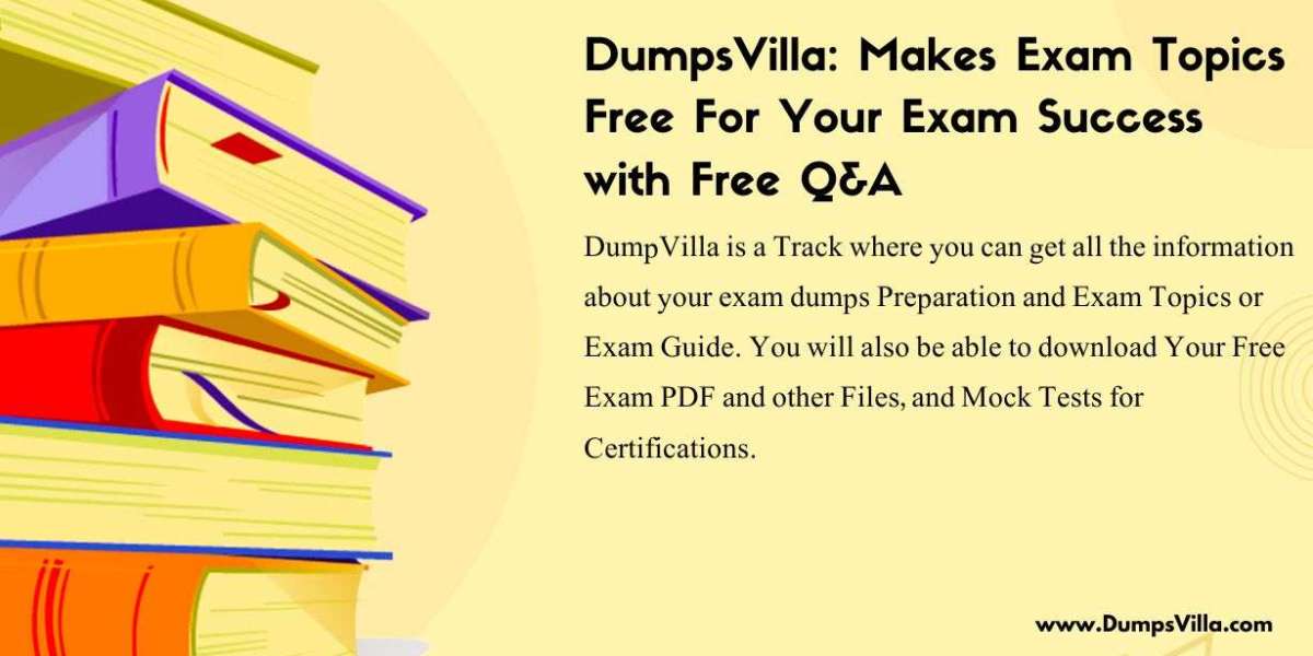 Spark Your Success Story with DumpsVilla