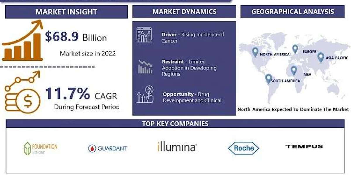 Global Precision Oncology Market Size to Hit USD 166.97 Billion by 2030 | CAGR of 11.7% | IMR