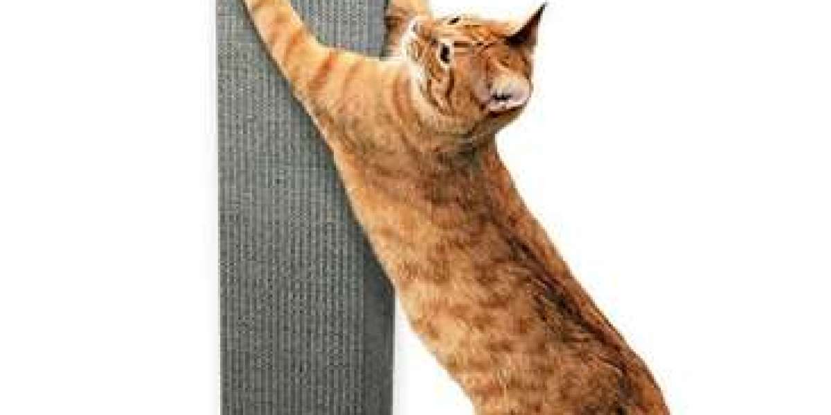 The Ultimate Guide to Choosing a Cat Scratching Post Online