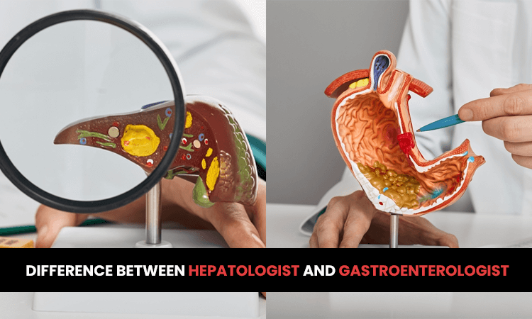 Difference between hepatologist and gastroenterologist |Queen’s NRI Hospital