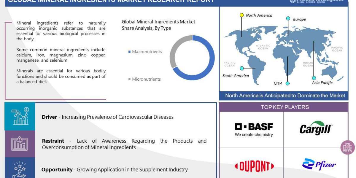 Global Industrial Trend and Market Demand Study on Mineral Ingredients (2023-2030)