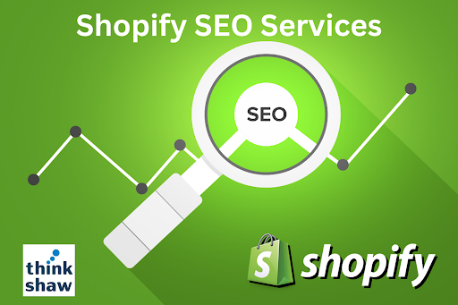 The Power of E-Commerce SEO Company: The Role of a Shopify SEO Expert - Havily