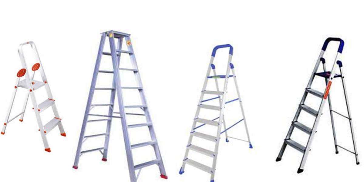 Find Top List Of Ladders Traders In UAE
