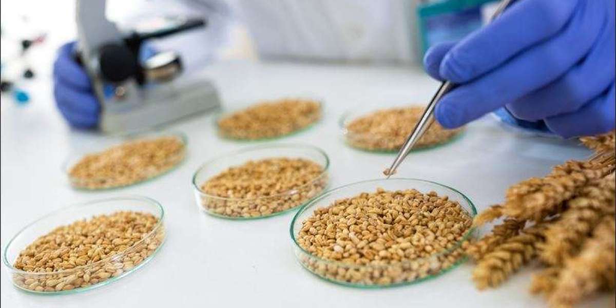 Grain Analysis Market (2030): A Comprehensive Outlook into Agricultural Innovation