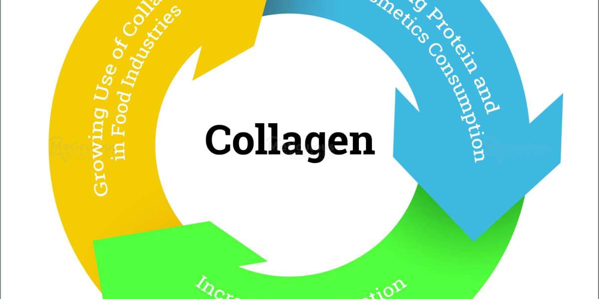 Collagen Market Worth $8.64 Billion by 2029
