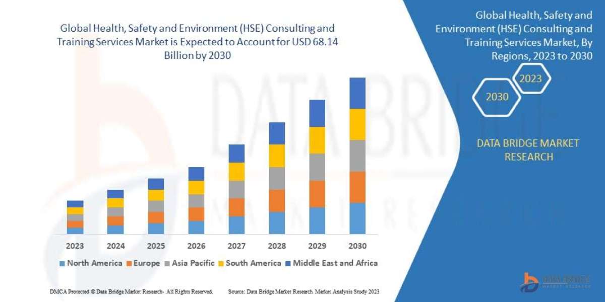 HEALTH, SAFETY AND ENVIRONMENT (HSE) CONSULTING AND TRAINING SERVICES Market Size, Share, Trends, Growth and Competitive