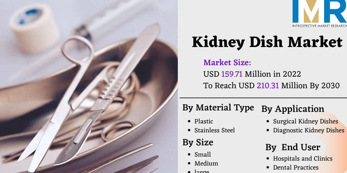 Global Kidney Dish Market Size Expected To Reach USD 210.31 Million By 2030-| Data Analysis By IMR