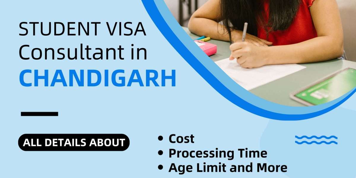 Discover Perfect Study Visa Consultant in Chandigarh today!