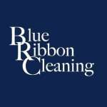 Blue Ribbon Cleaning