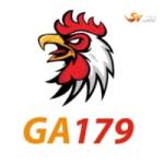 GA179 Top