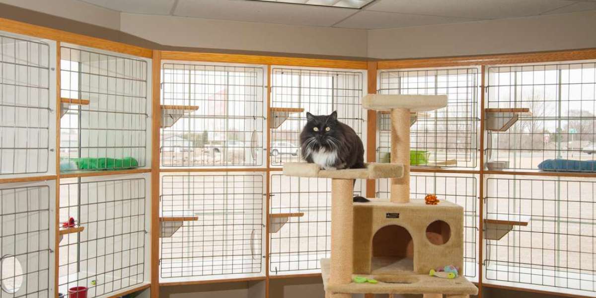 Meow Manor: Luxurious Cat Boarding Experiences