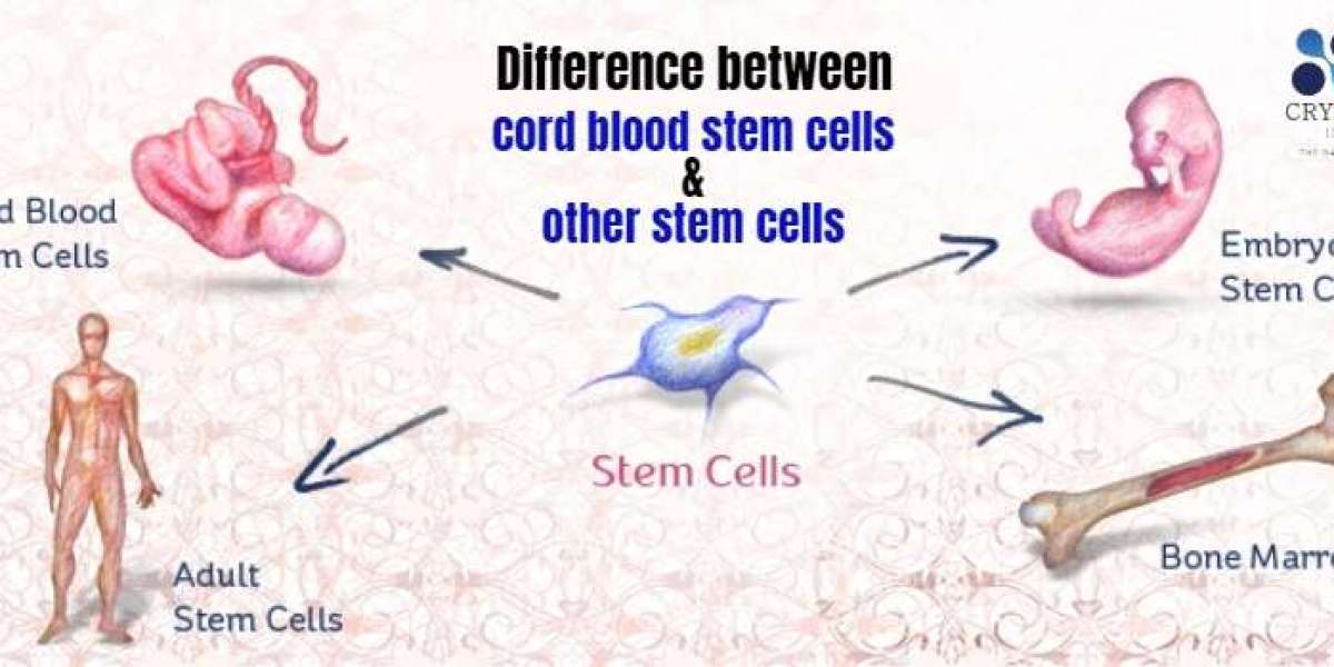 Some differences between cord blood stem cells and other stem cells?