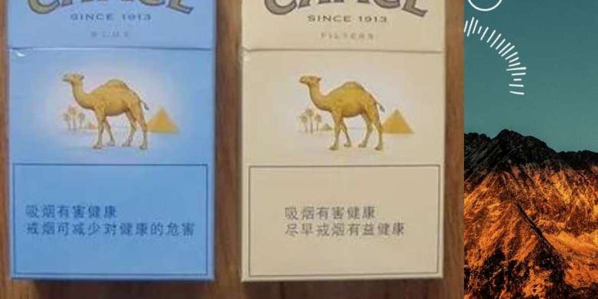 駱駝：穿越沙漠的經典風味，煙草愛好者的永恆之選