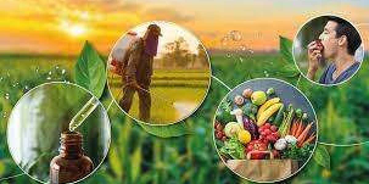 Biopesticides Market Predicting Future Growth Global Growth Analysis (2024-2030)