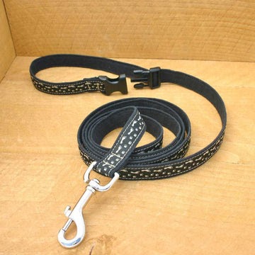 A Complete Guide to Choosing the Perfect Dog Collar and Leash