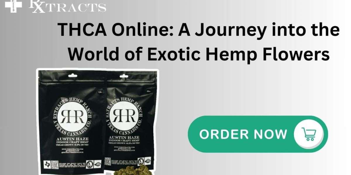 THCA Online: A Journey into the World of Exotic Hemp Flowers