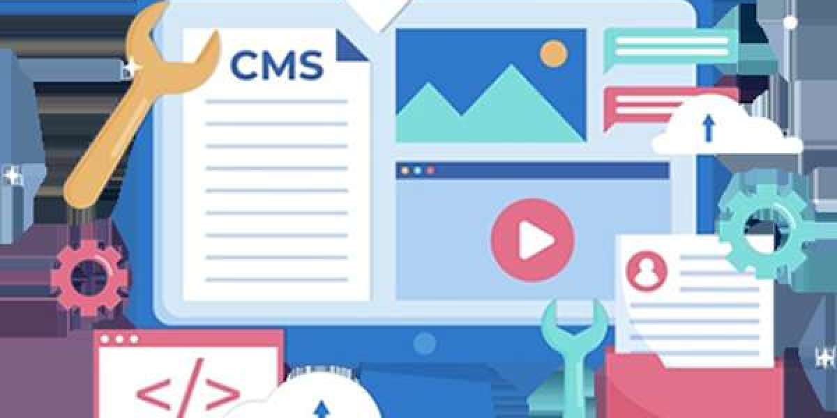 Elevating Your Online Presence: Choosing the Right CMS Website Design Company