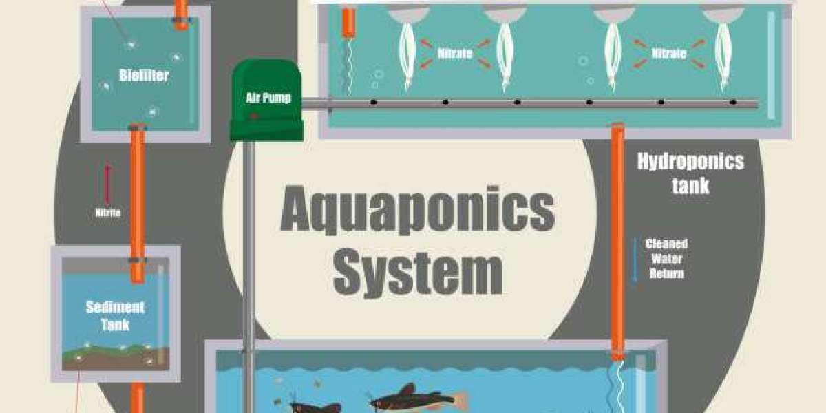 Aquaponics Market Size, Sales, and Outlook Analysis (2023-2030)