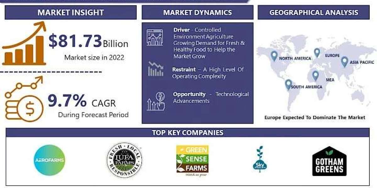 Controlled Environment Agriculture Market Worldwide Opportunities, Driving Forces, Future Potential 2030