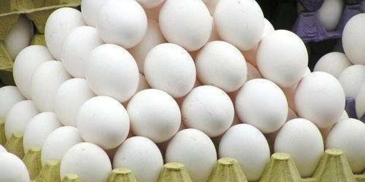 Egg Tray Manufacturing Plant Project Report 2024, Cost, Industry Trends and Business Opportunities