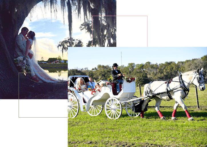 Event Space in Plant City – Wishing Well Barn