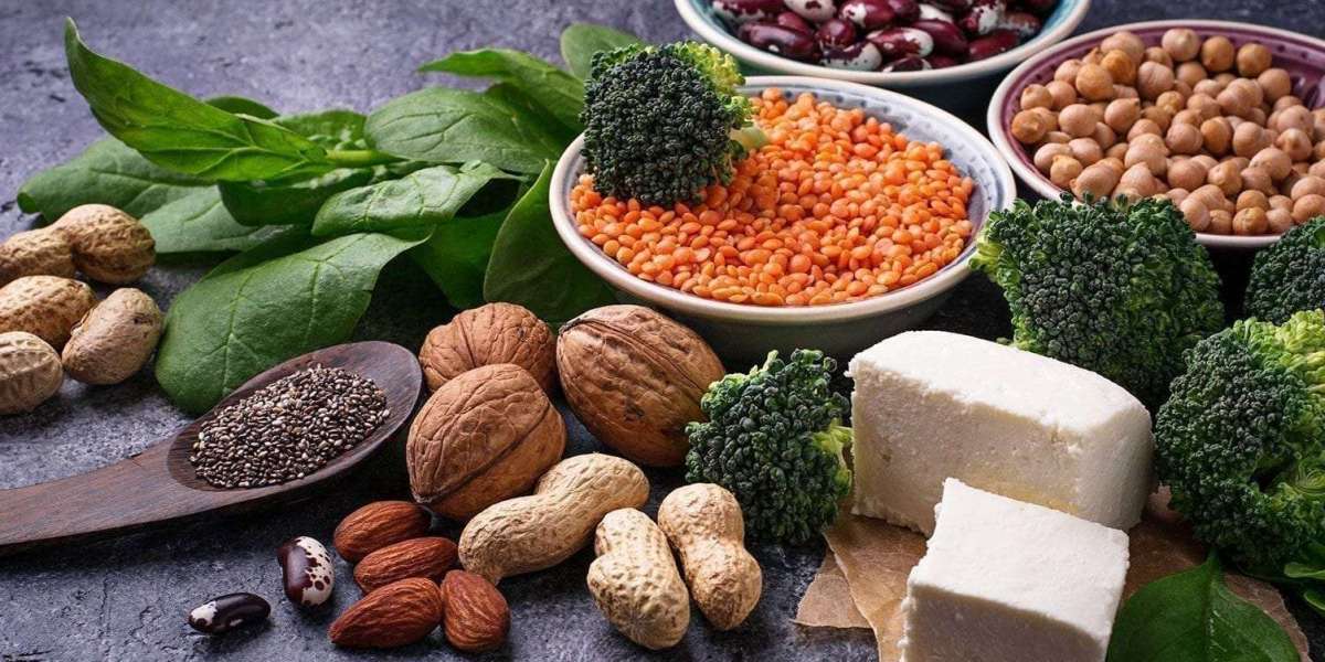 Japan Plant-Based Protein Market Size, Share and Forecasts 2022 – 2032