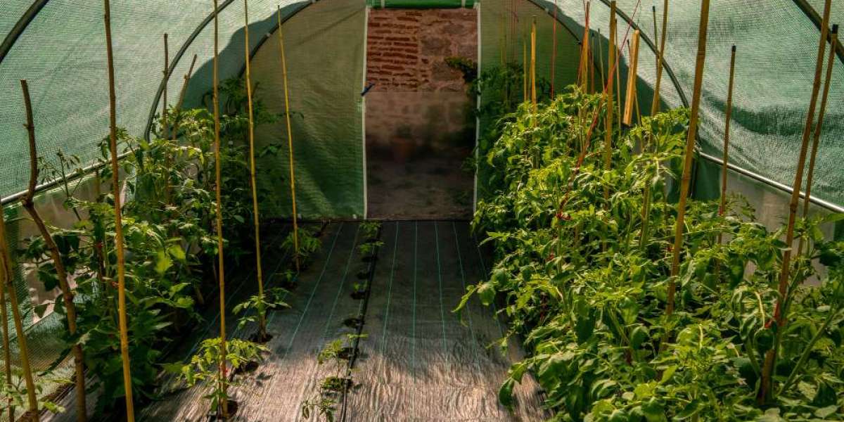 Greenhouses and Plant Chambers Market Scope, Applications and Competitive Outlook To 2032