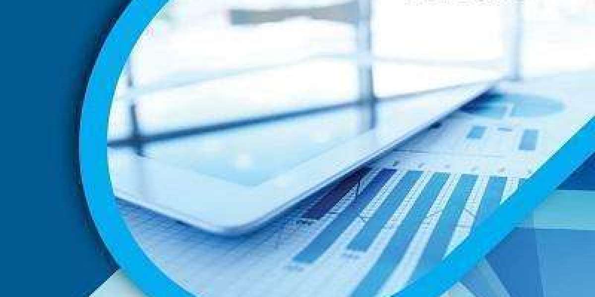Installment Payment Solution Market Financial Overview and Growth Prospects Predicted by 2031