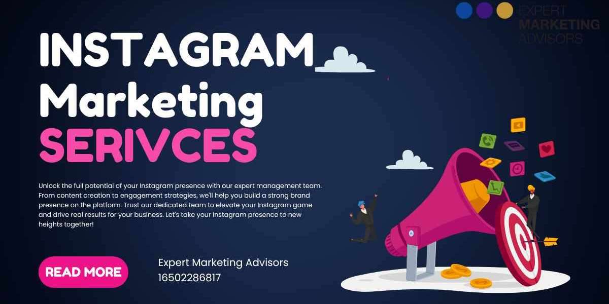 The Complete Guide to Instagram Management Services