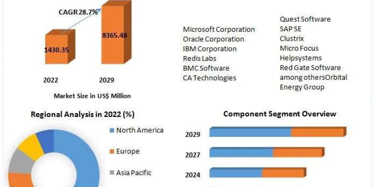 Database Automation Market Overview And Competition Analysis By 2029