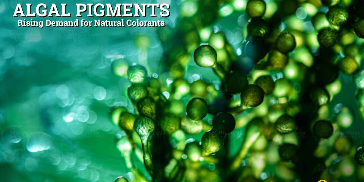 Algal Pigments Market: Type, and Application