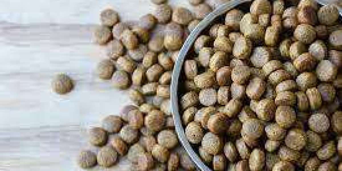 Pet Food Ingredients Market Outlook Size, Share, Trends, and Growth Opportunities 2024-2030