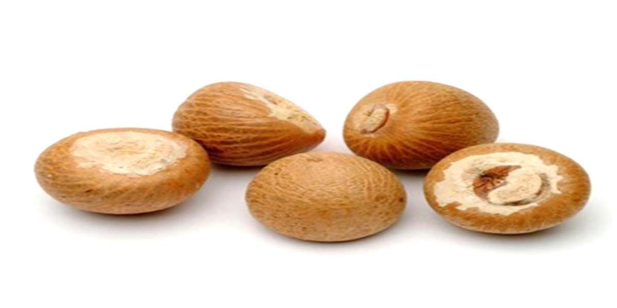 Areca Nut Market Size, Share, Growth, Trend & Forecast to 2030 | Credence Research